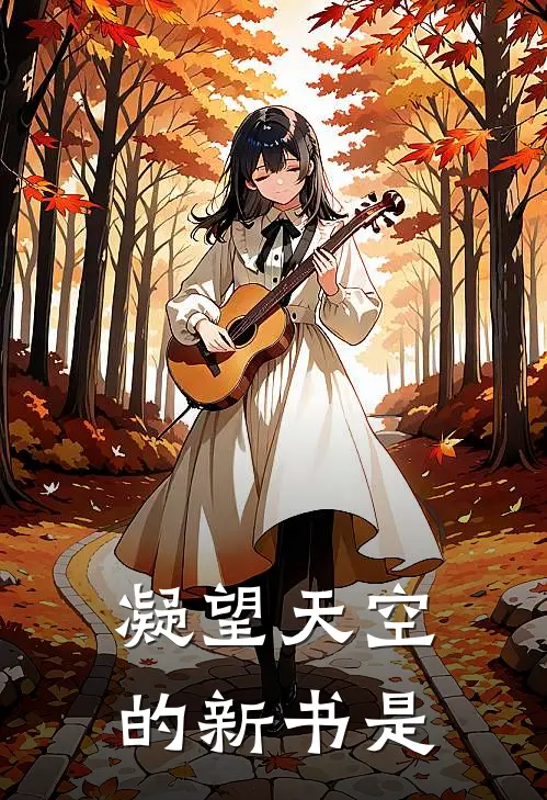 凝望天空的新书是