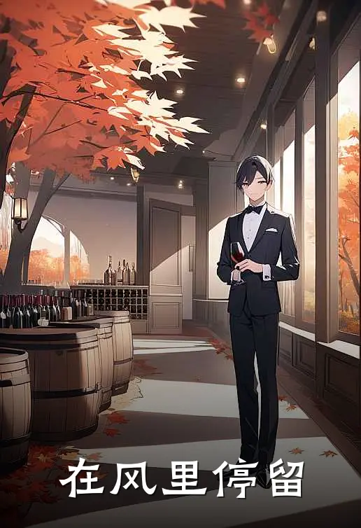 在风里停留林晚苏晴免费小说在线阅读_热门小说在线阅读在风里停留林晚苏晴