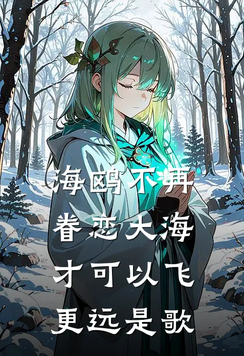 海鸥不再眷恋大海才可以飞更远是歌